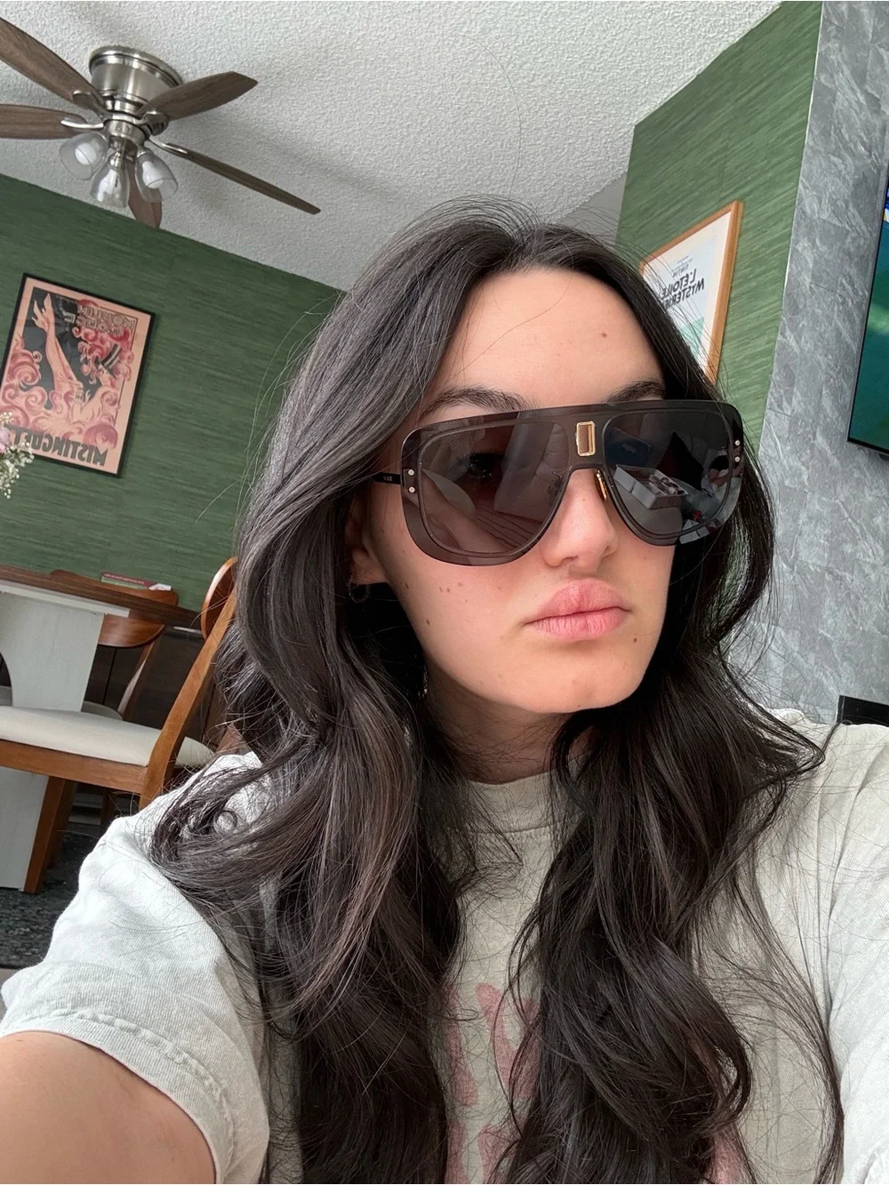 Christian Dior Brown Gradient Shield Sunglasses